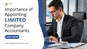 Importance of Appointing Limited Company Accountants
