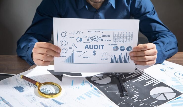 Financial audit and business performance charts presentation
